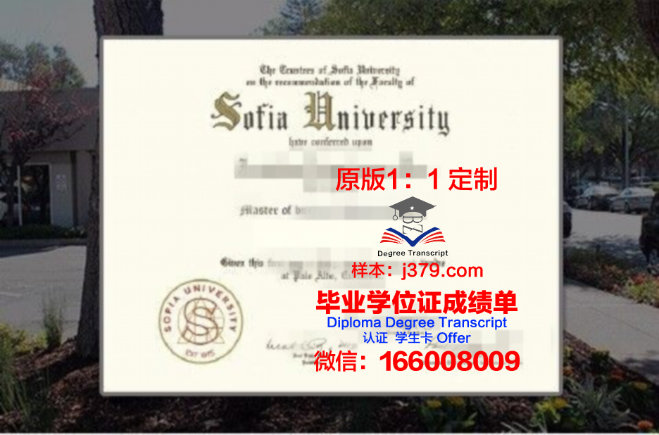 索菲亚大学毕业证(索菲亚就业怎么样)