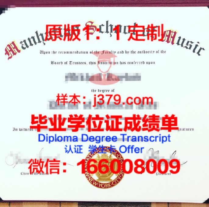 维尔茨堡音乐学院 diploma 毕业证