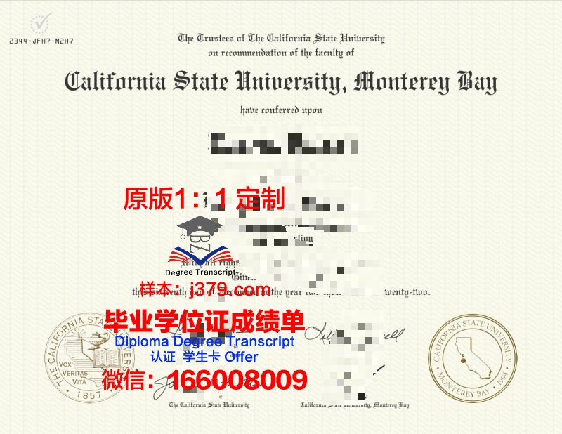 米德尔伯里学院蒙特雷国际研究学院毕业证书模板(蒙特雷奖学金)