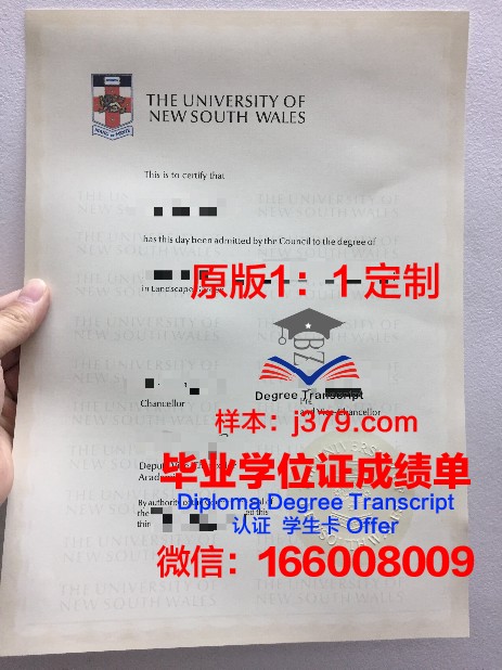 米尼亚大学毕业证定制：荣誉与品质的完美结合