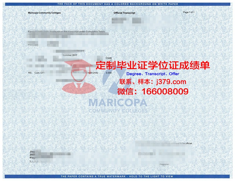 Indicator成绩单：揭示教育评价的新视角