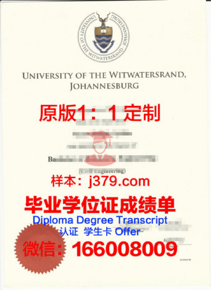 2006年南非工学院毕业证图片样本(南非的学制)