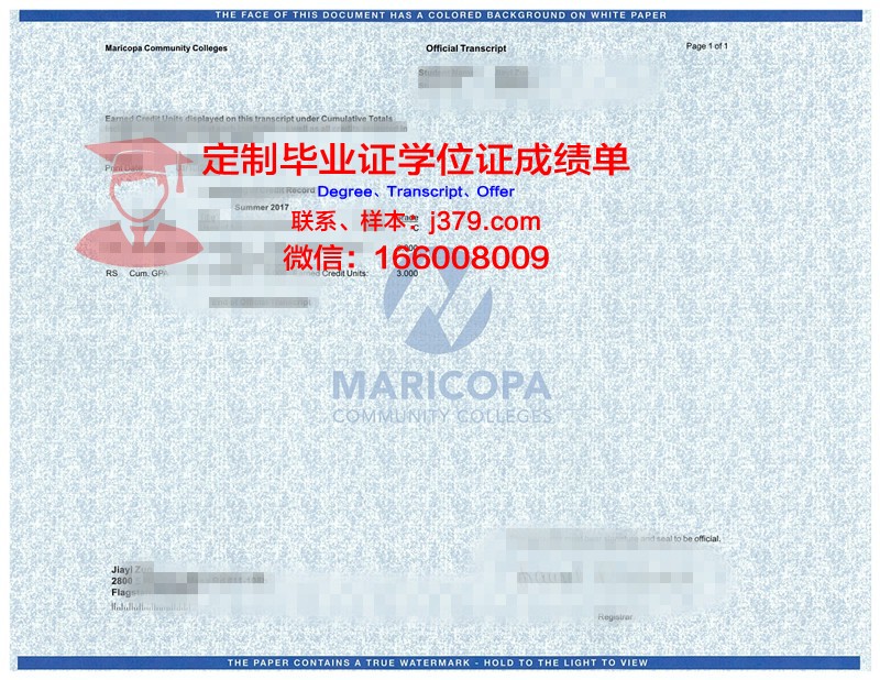 IITM成绩单：记录成长足迹，见证努力成果