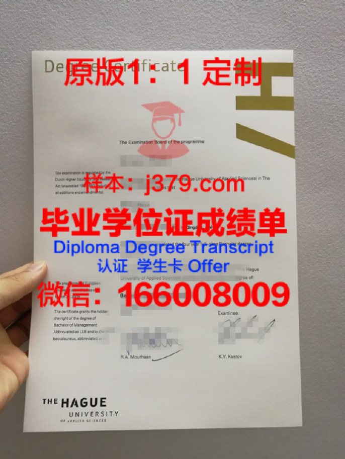 荷兰斯坦德大学毕业证diploma