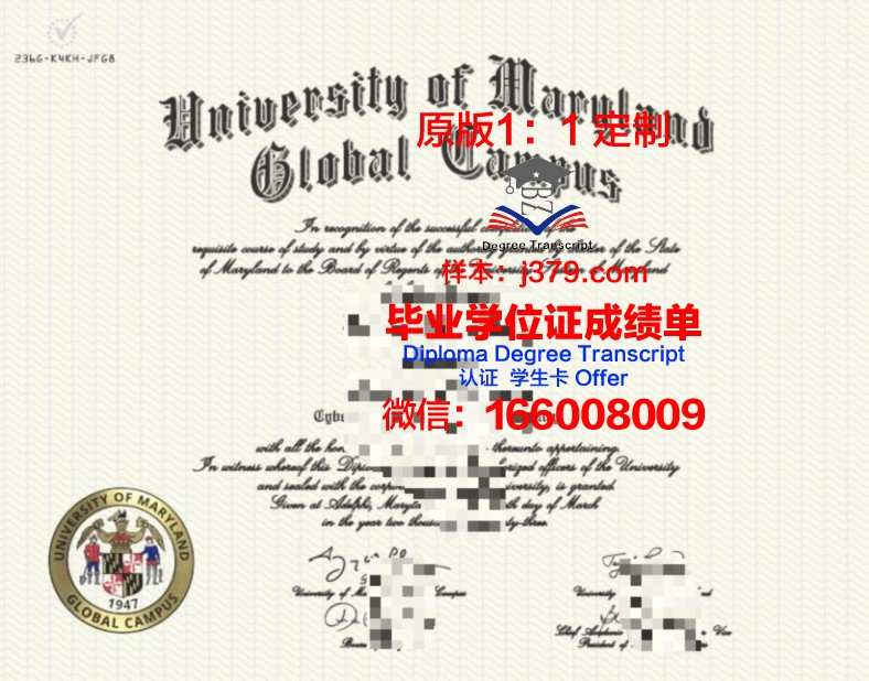 IE大学校园卡(校园网ic卡)