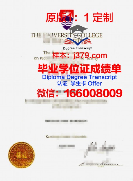 特里布万大学毕业证学位证(特里布文大学孔子学院)