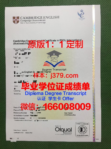 IESA多媒体学院diploma证书(多媒体专业大学)