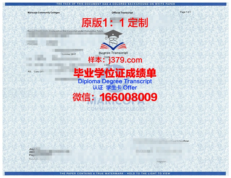 IITLK学位成绩单定制：打造专属学术证明