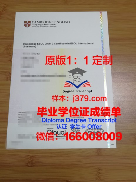 IESA多媒体学院diploma证书(多媒体专业大学)