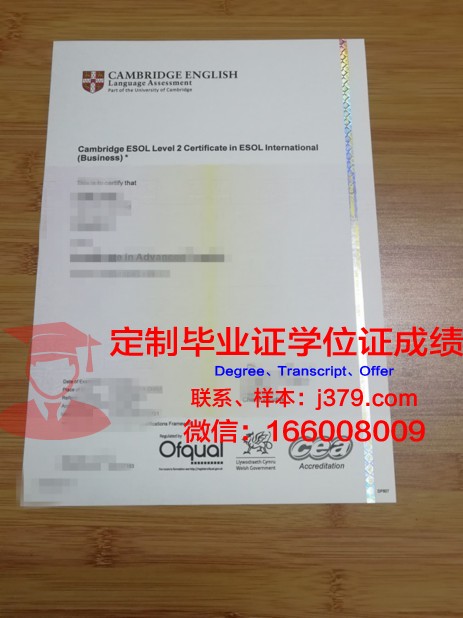 特殊教育与心理学学院毕业证书图片(特殊教育与心理学学院毕业证书图片)