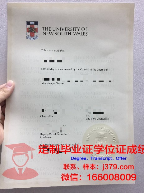 KookUni毕业证：虚拟世界的荣誉象征