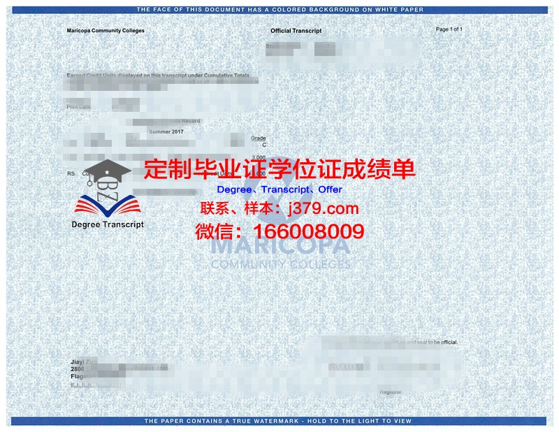 筑波大学成绩单(大学查询成绩)