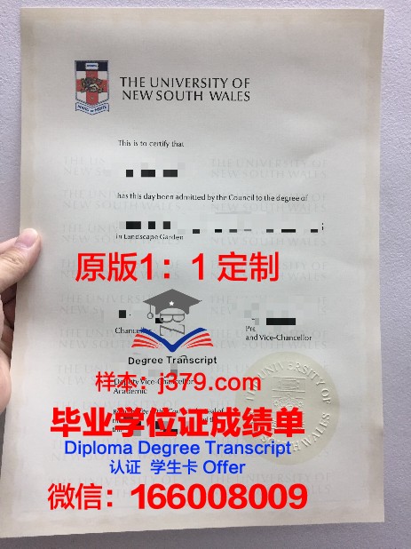 马拉加大学毕业证：一张通往未来的通行证