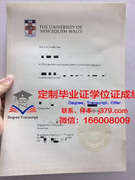 萨那大学毕业证：跨越国界的学术荣耀