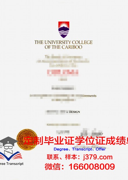 探秘本科大学毕业证书图片样本的背后故事