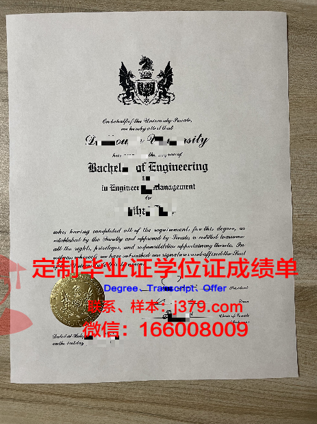 萨达尔帕特尔大学diploma证书(萨达尔·帕特尔塑像)