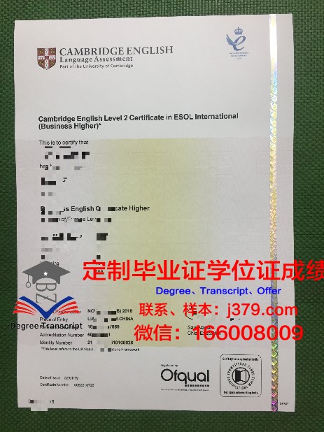 IE大学毕业证书(大学毕业证书的英文)