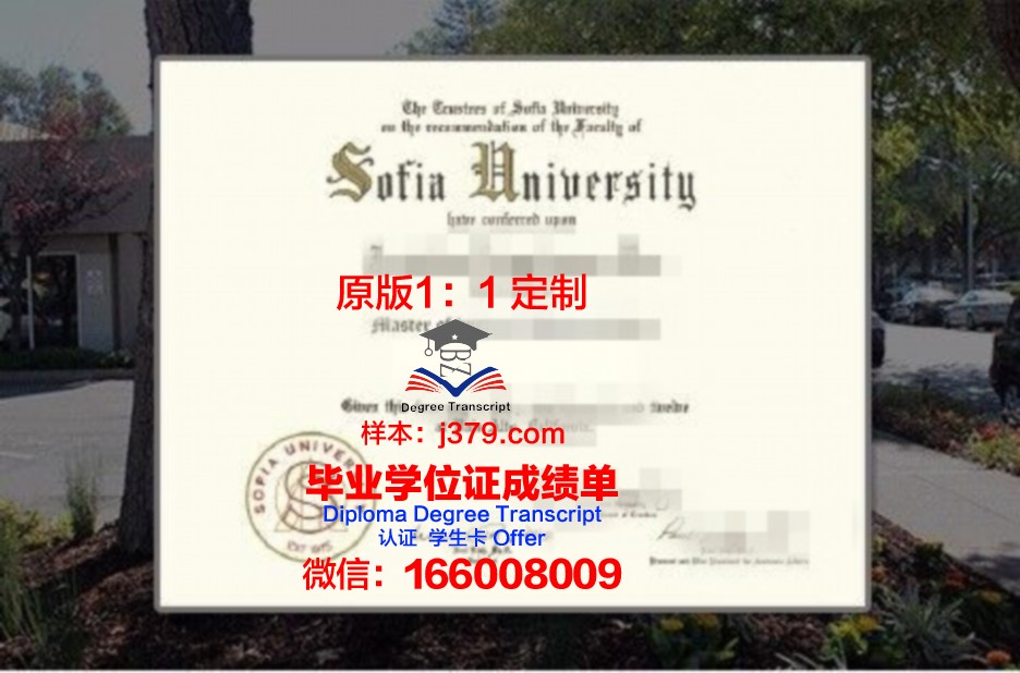 索菲亚大学mba证书(索菲亚大学mba学费)