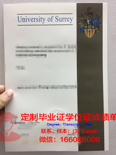 萨里大学毕业证丢失怎么补办