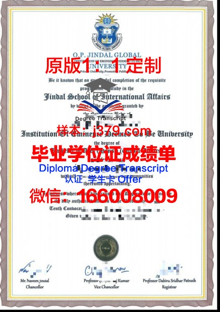 萨达尔帕特尔大学毕业证是什么样子(萨尔大学官网)