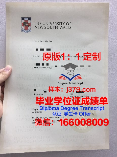 马斯特里赫特大学毕业证尺寸(马斯特里赫特大学申请)