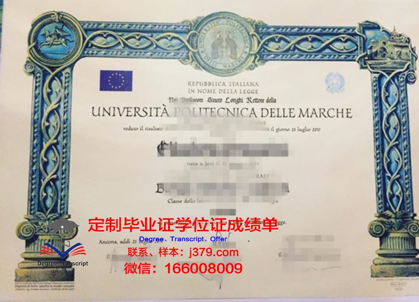 马尔凯理工大学diploma证书(意大利马尔凯理工大学)