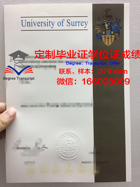 萨萨里大学diploma证书(萨里大学申请条件)