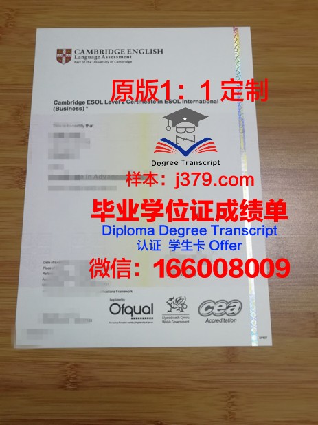 第戎大学汽车与交通学院毕业证书图片模板