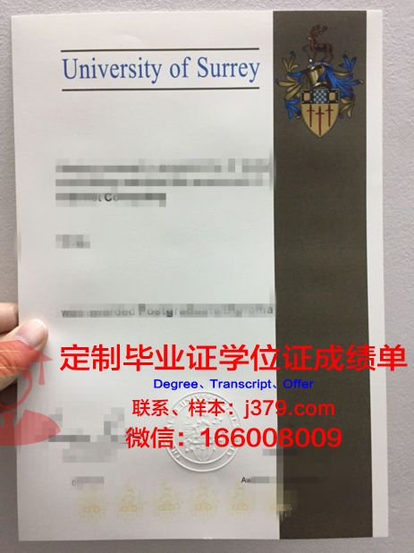 萨里大学学位证翻译模板(萨里大学翻译硕士怎么样)