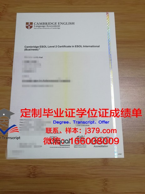 探秘罗大硕士学位证书图片背后的故事