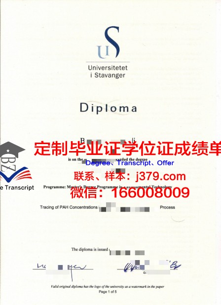 挪威斯塔万格大学毕业证diploma