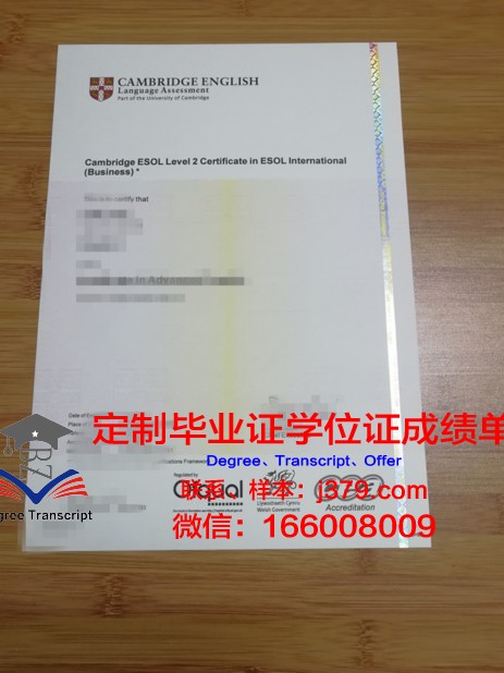 拉贾斯坦大学毕业证书什么颜色(拉贾斯坦邦民族)