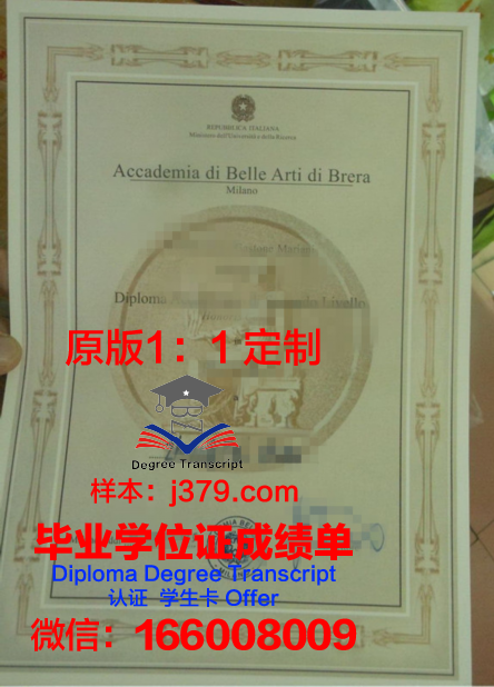 米兰布雷拉美术学院毕业证diploma