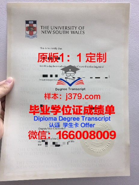 米尼亚大学毕业证模板(米尼亚大学毕业证模板下载)