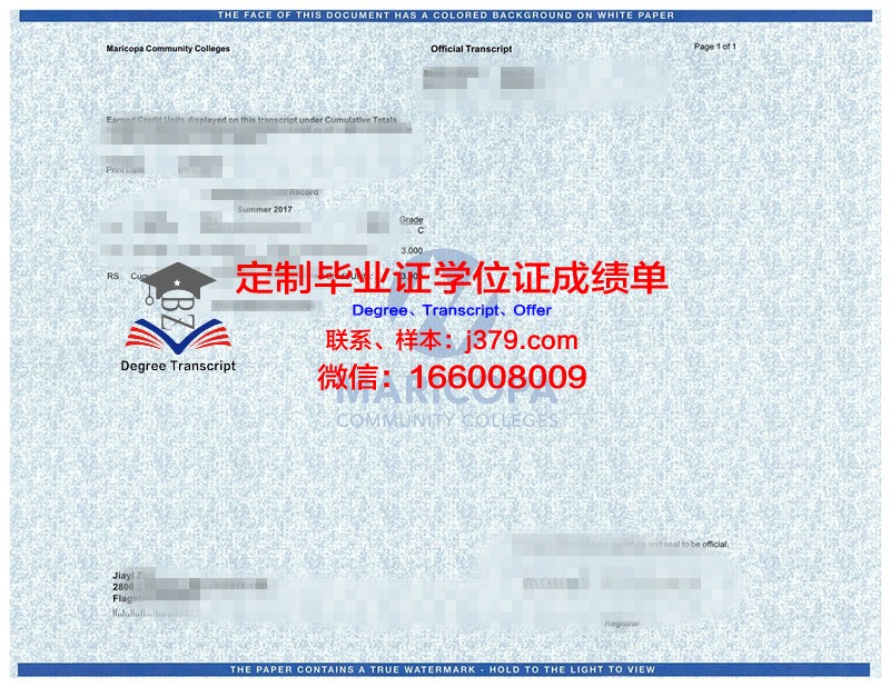 拓殖大学学位成绩单定制：探究其背后的意义与价值