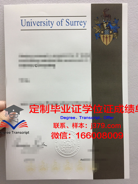 萨里大学毕业证pdf(萨里大学毕业证书图片)