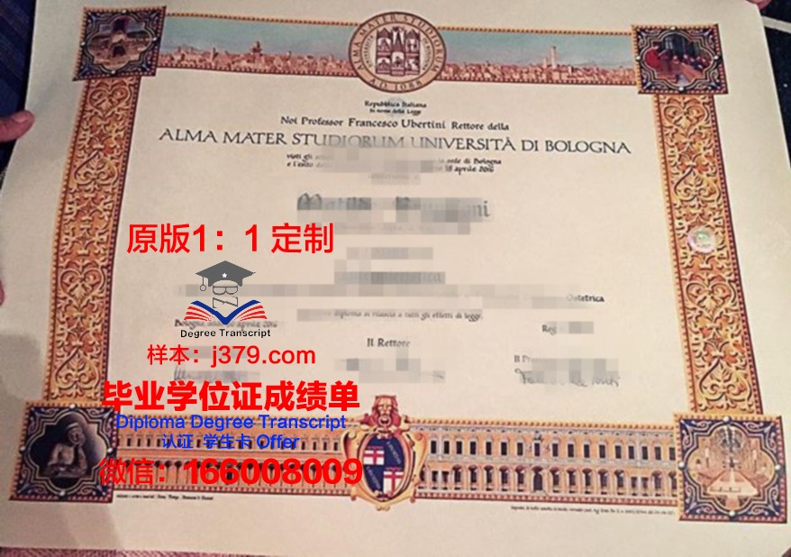 米尼亚大学毕业证书时间(什么尼亚大学)