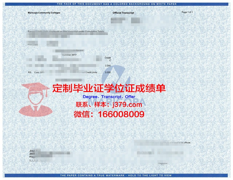 马丁社区学院毕业学位