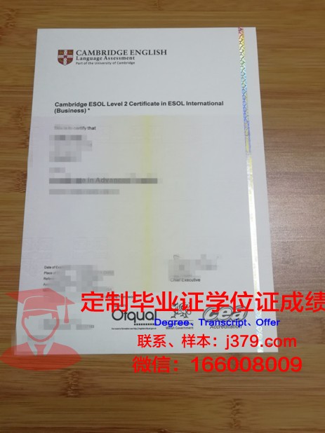 探秘工艺大硕士学位证书图片样本：一份承载荣誉与传承的证书