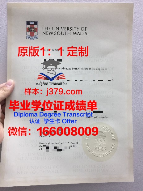 马斯特里赫特大学毕业证高清图(马斯特里赫特大学硕士)