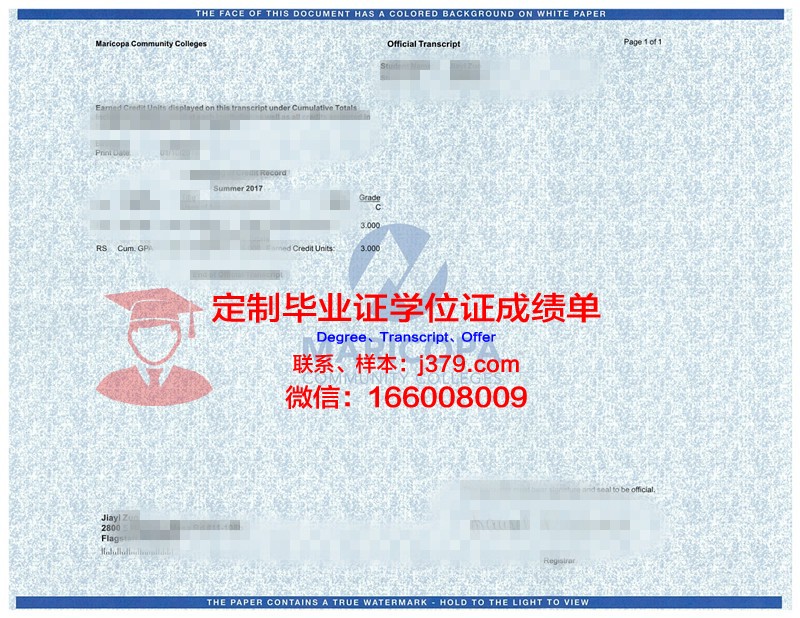 探索Tongji学位成绩单定制背后的秘密