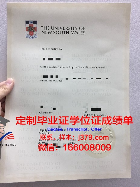 马哈瑞希学院毕业证diploma