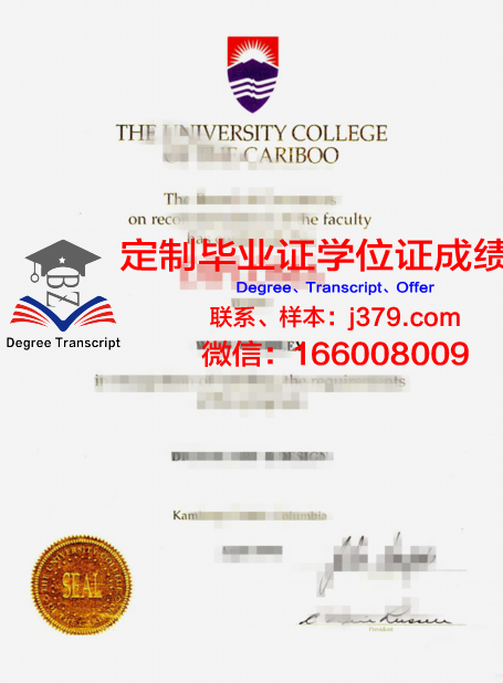 特里布万大学学位证成绩单：一份承载荣誉与努力的证明