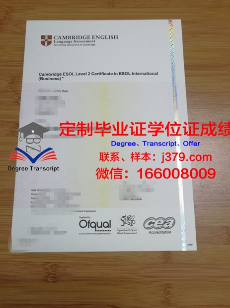 提鲁瓦鲁瓦大学毕业证书模板