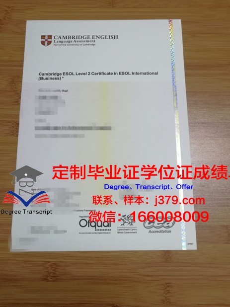 探索城建大学毕业证书图片背后的故事