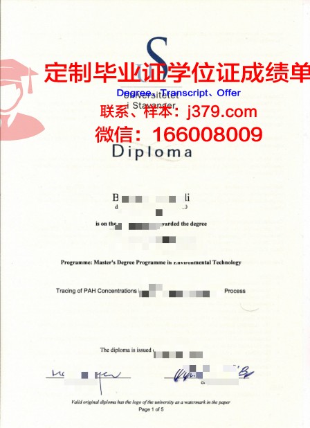 挪威科技大学本科毕业证：开启国际化职业大门的钥匙