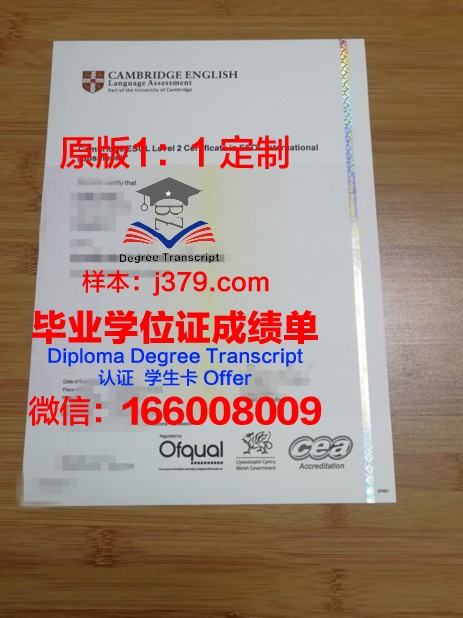 萨瓦大学毕业证书图片模板(瓦萨学院怎么样)