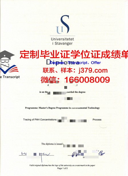 挪威科技大学硕士毕业证：跨越国界的学术荣耀