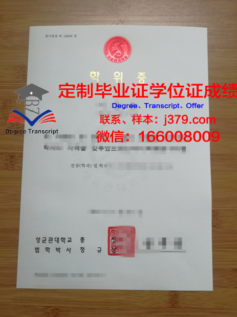 马尔马拉大学硕士学位证的含金量与价值解析