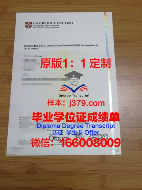 探秘不来梅大学毕业证书：一张纸的重量与价值